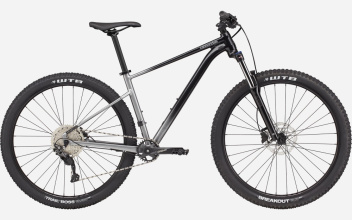 CANNONDALE Trail SE 4