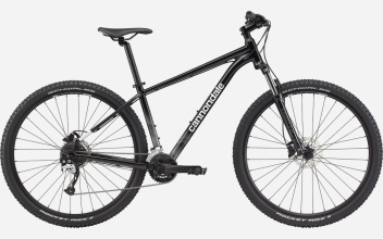 CANNONDALE Trail 7